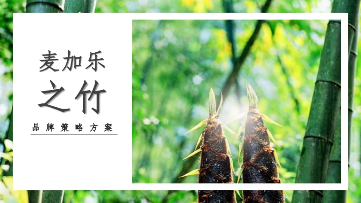 2021竹笋饼干·之竹品牌策略全案_第1页