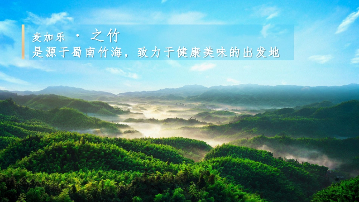 2021竹笋饼干·之竹品牌策略全案_第2页