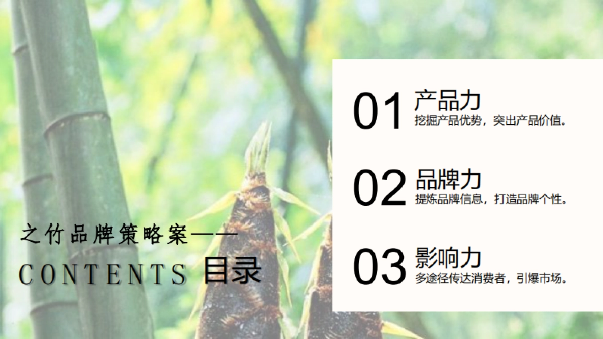 2021竹笋饼干·之竹品牌策略全案_第4页