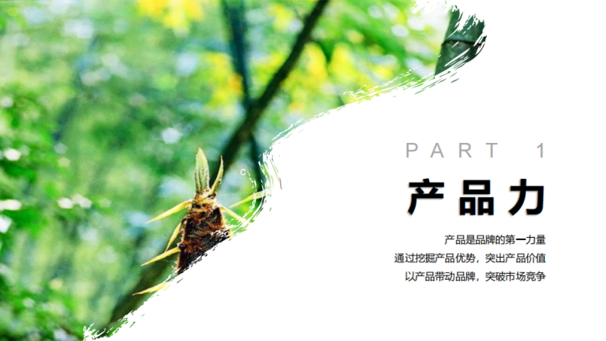 2021竹笋饼干·之竹品牌策略全案_第5页