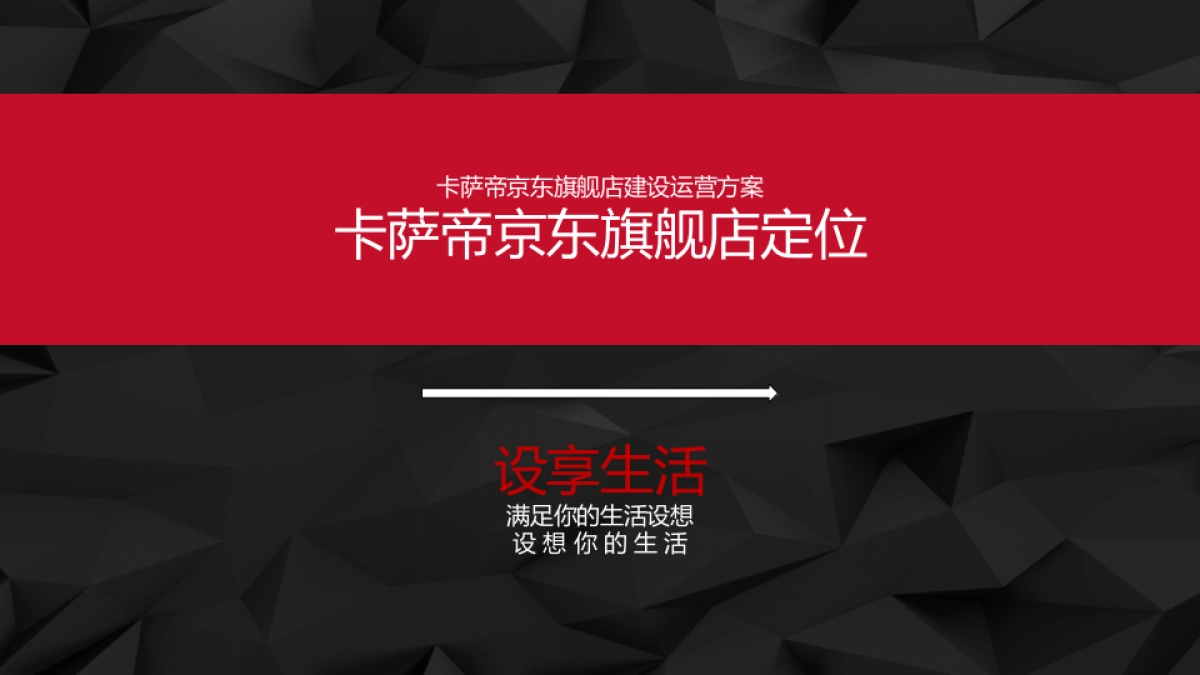 卡萨帝京东旗舰店运营方案_第9页