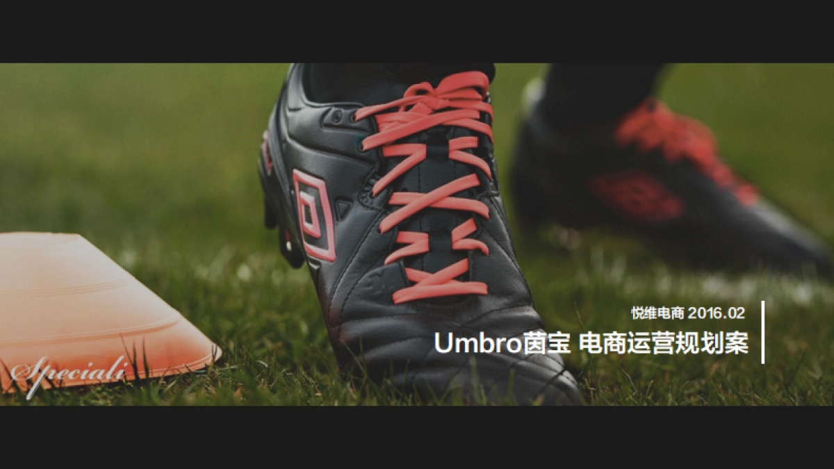 Umbro茵宝电商运营规划案_第1页