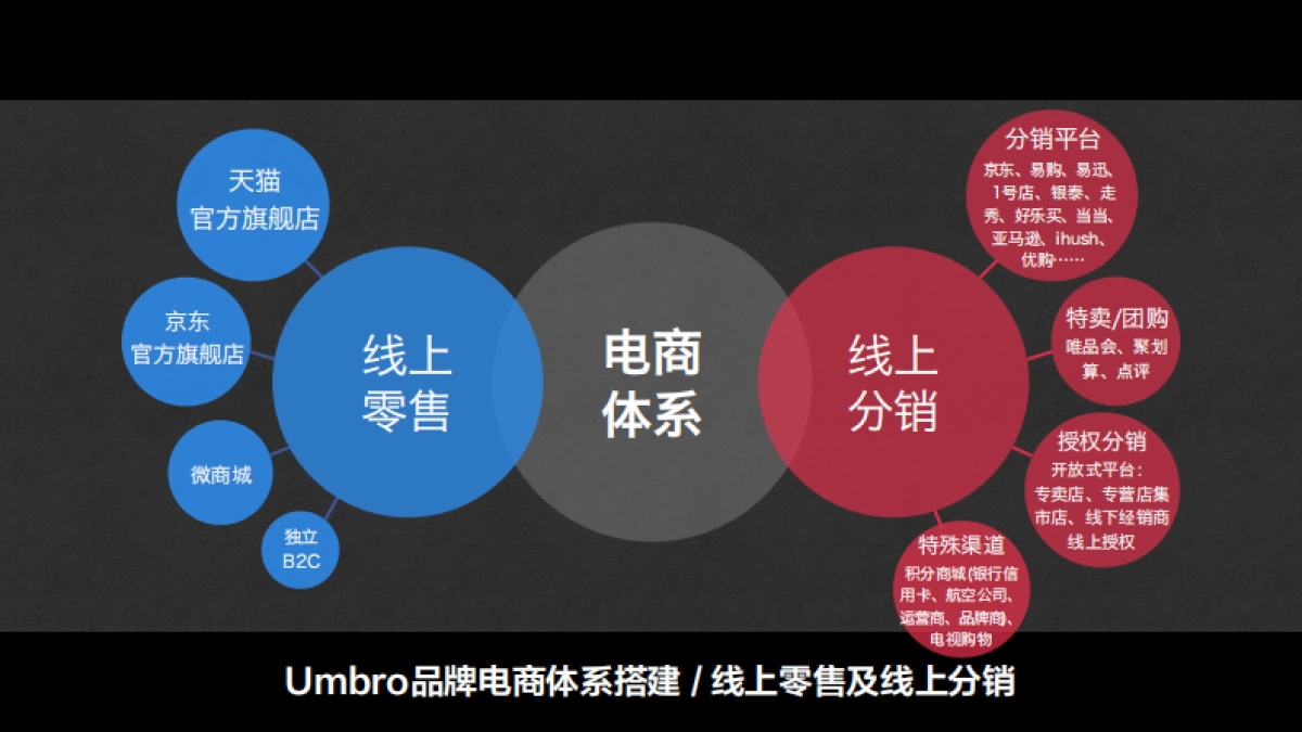 Umbro茵宝电商运营规划案_第10页
