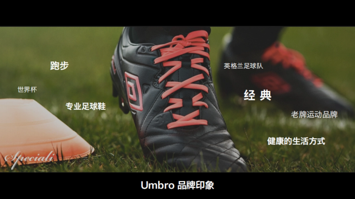 Umbro茵宝电商运营规划案_第7页