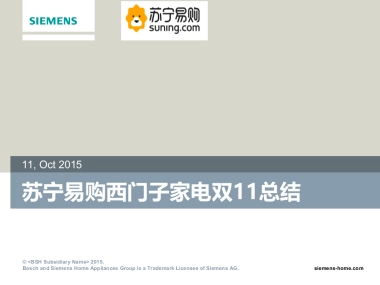 苏宁双11活动总结