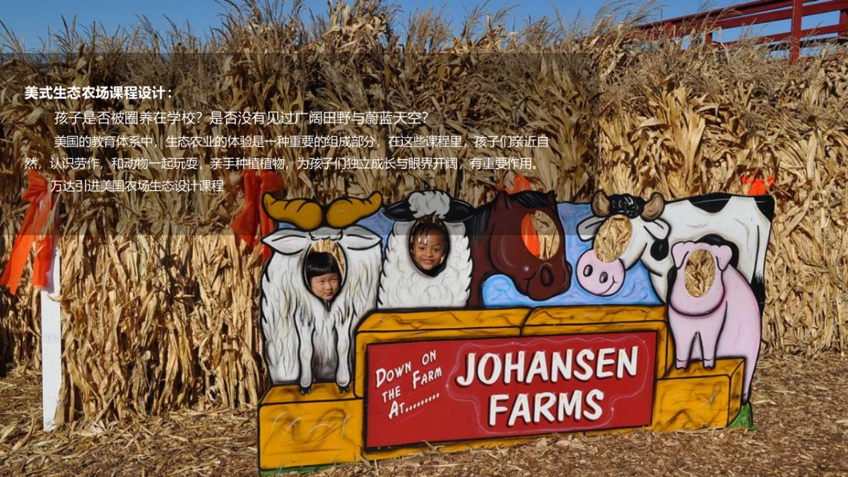 万达城开心农场-月暖场活动方案_第4页