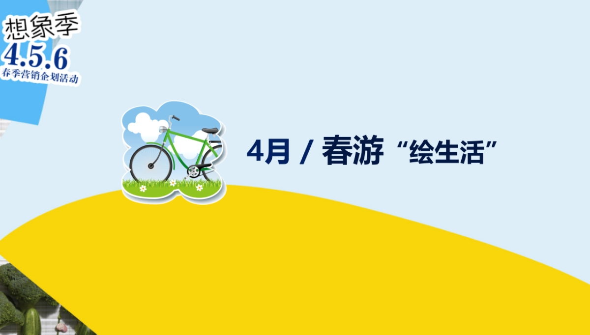 万达广场四月春季活动方案_第4页