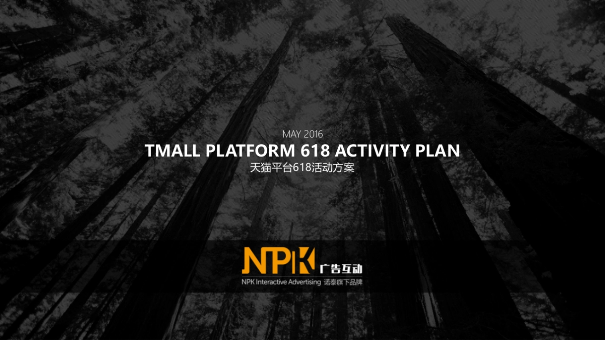 618天猫粉丝节活动方案_第1页
