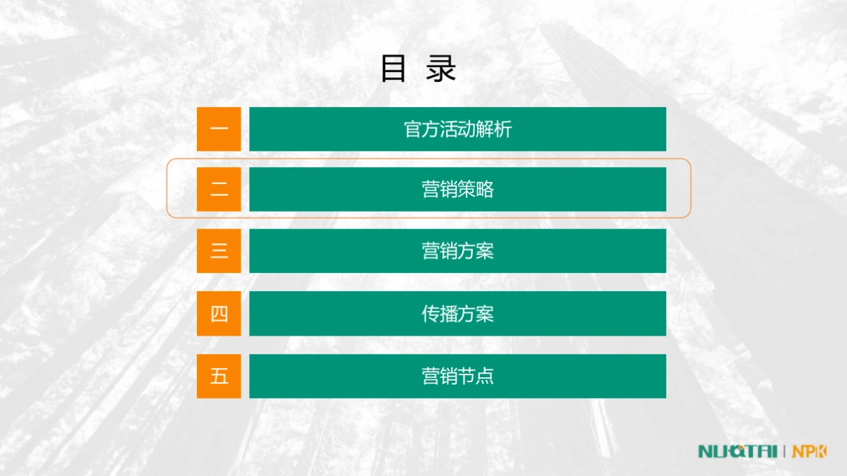 618天猫粉丝节活动方案_第9页