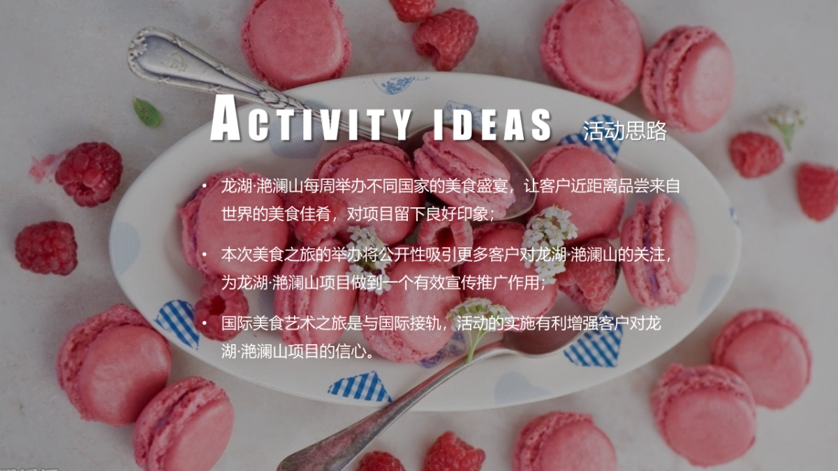 2017龙湖美食艺术之旅暖场主题活动策划案_第5页