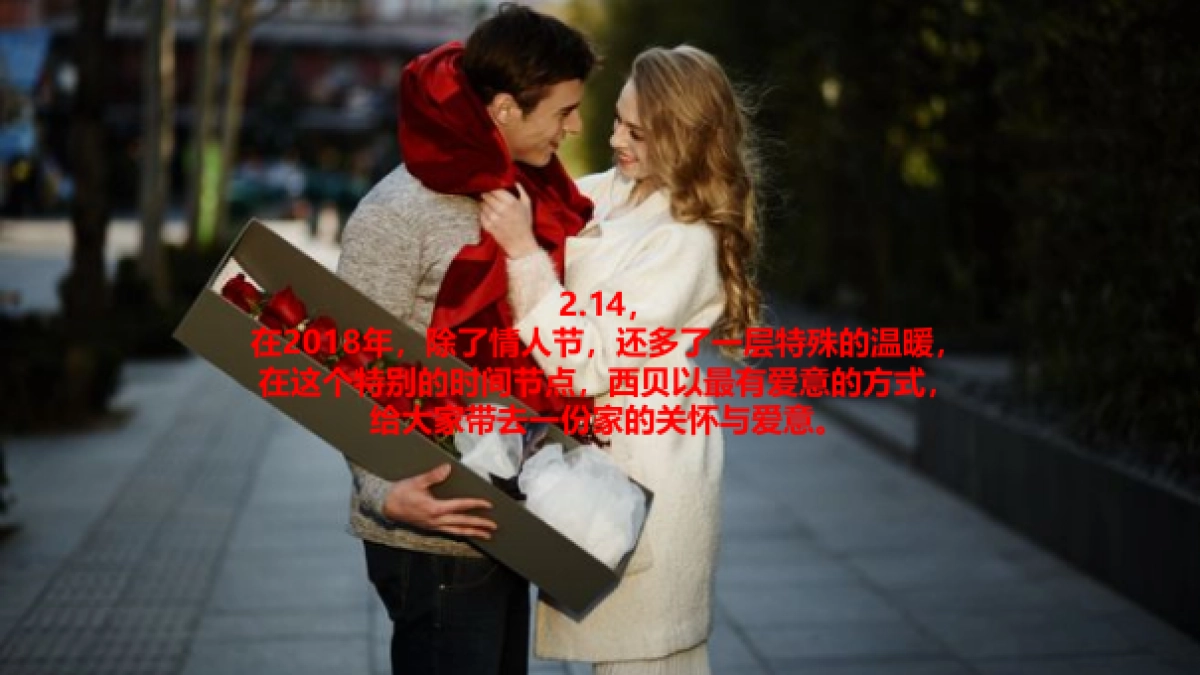 2018西贝第三届亲嘴打折节线下活动方案_第4页