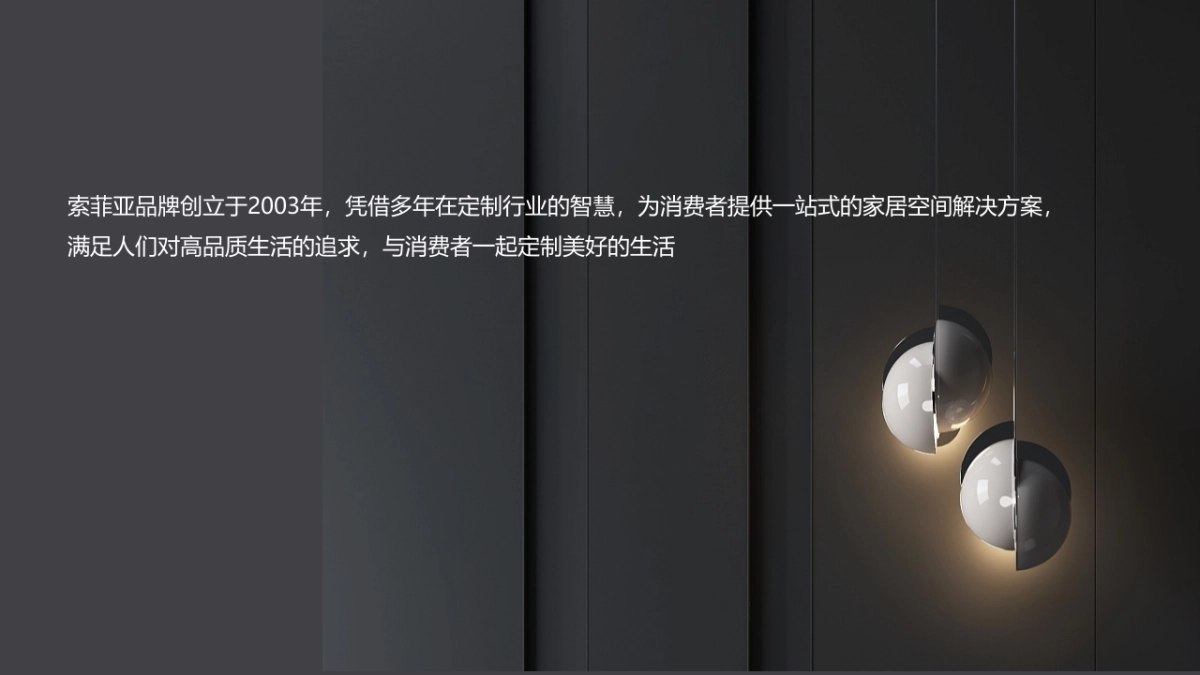 2020索菲亚高端家居家具经销商大会（领势未来主题）活动策划方案_第3页