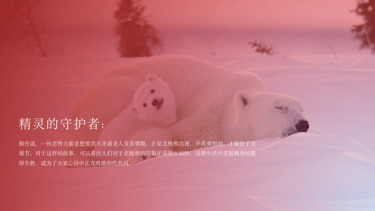 2021文旅项目北极熊奇遇记“冬日奇遇”活动策划方案_第6页