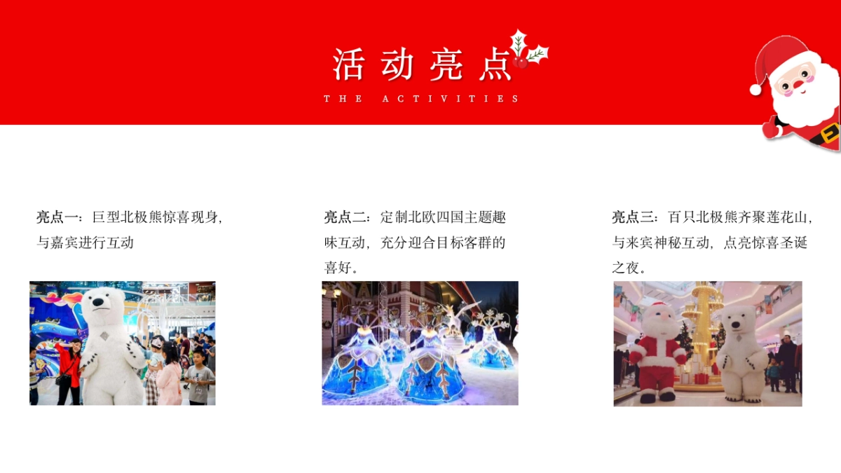 2021文旅项目北极熊奇遇记“冬日奇遇”活动策划方案_第9页