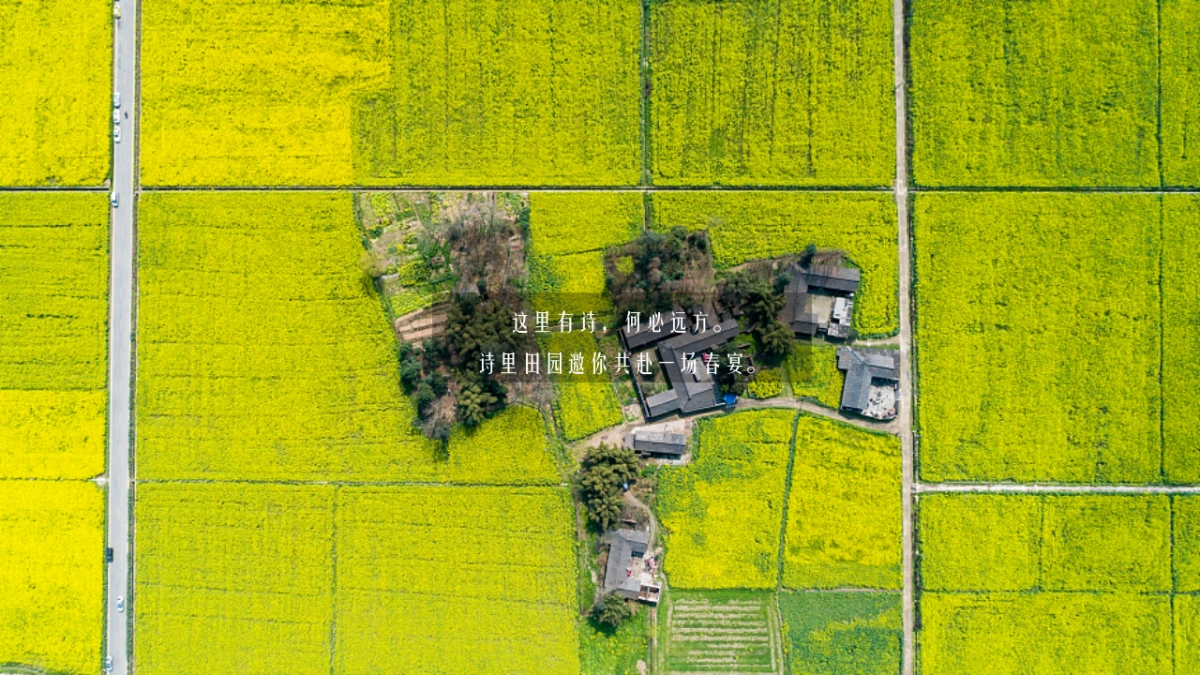 2021文旅项目春季“诗里田园春游记”活动策划方案_第5页