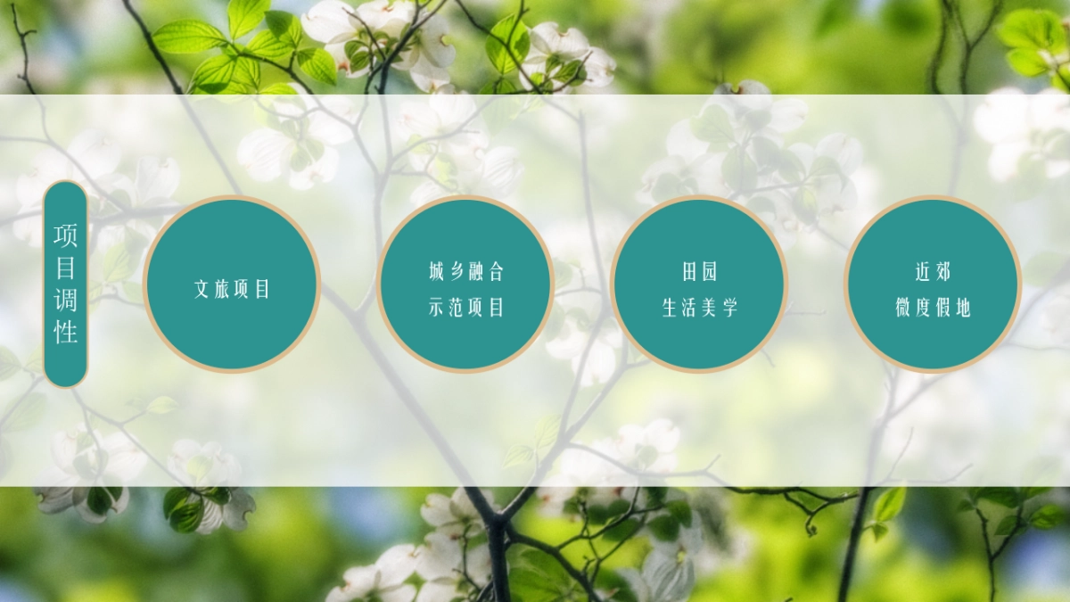 2021文旅项目春季“诗里田园春游记”活动策划方案_第7页