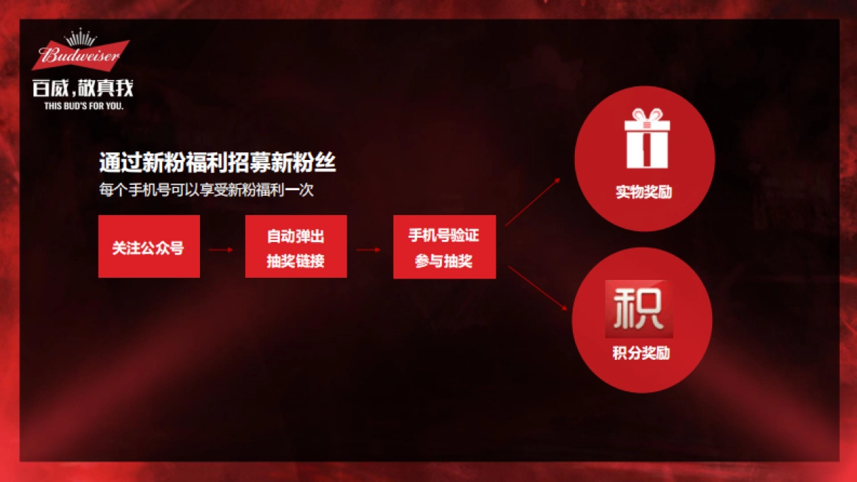 百威北区微信规划_第10页