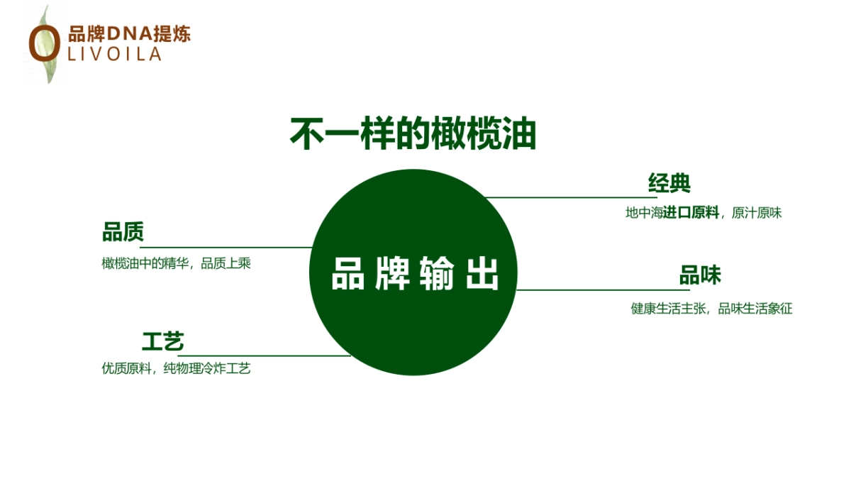 百货欧丽薇兰橄榄油品牌地推暖场活动策划案_第3页