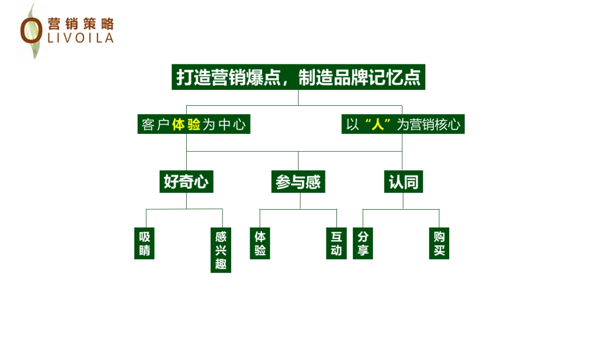 百货欧丽薇兰橄榄油品牌地推暖场活动策划案_第4页