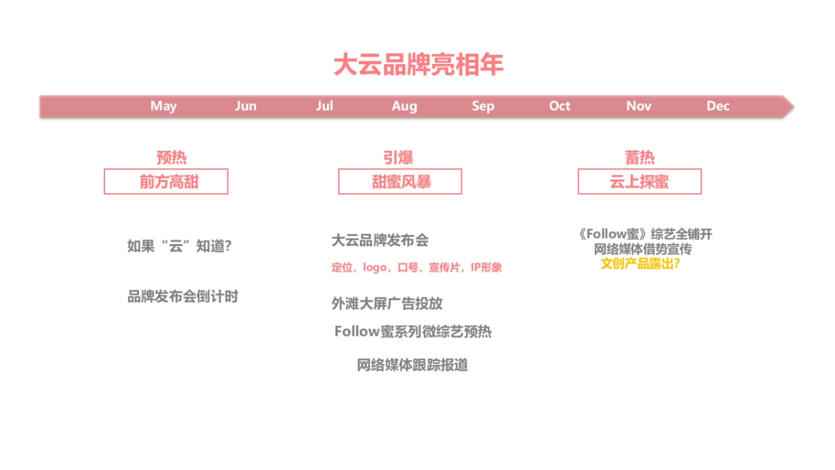 大云品牌发布会传播部分_第2页