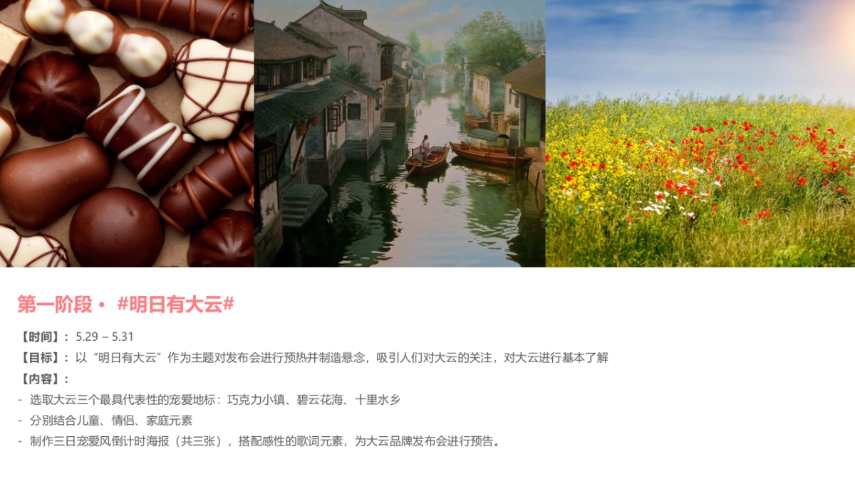 大云品牌发布会传播部分_第8页