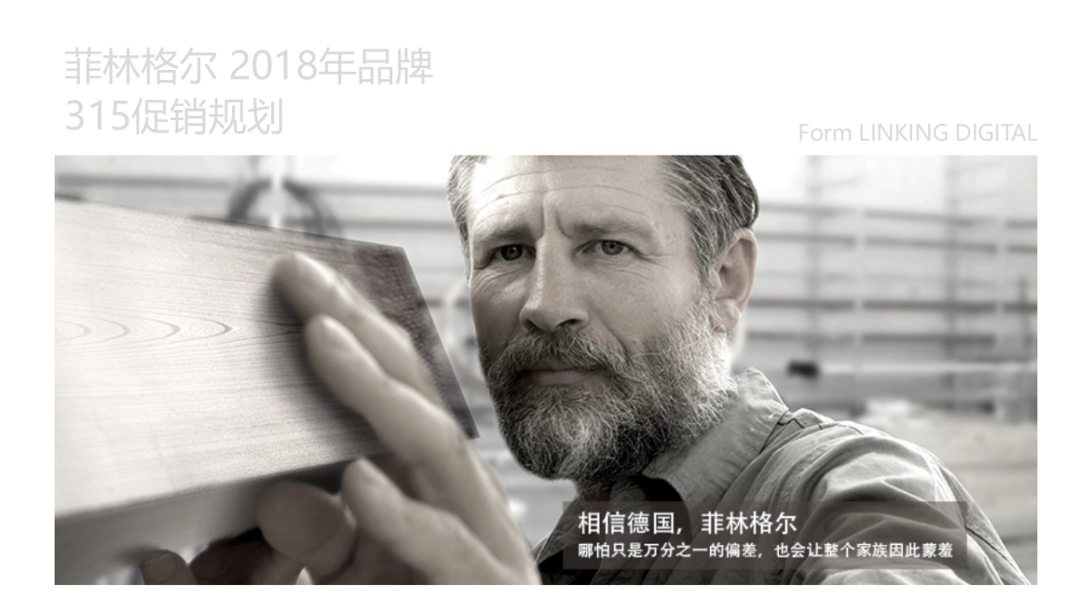 菲林格尔木地板品牌促销规划_第1页