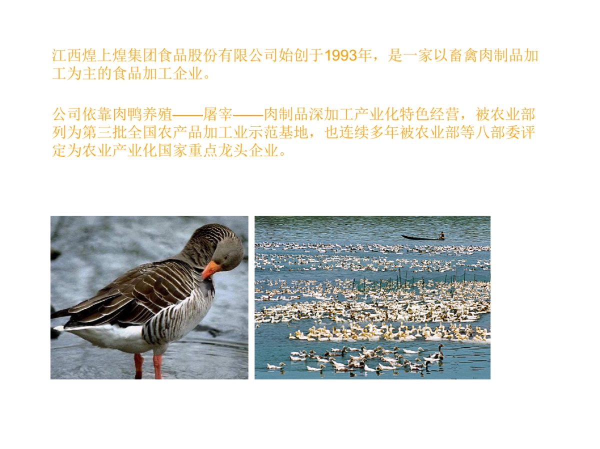 煌上煌品牌标志提升解决方案_第4页