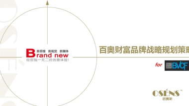 欧赛斯百奥财富品牌战略规划思路方案