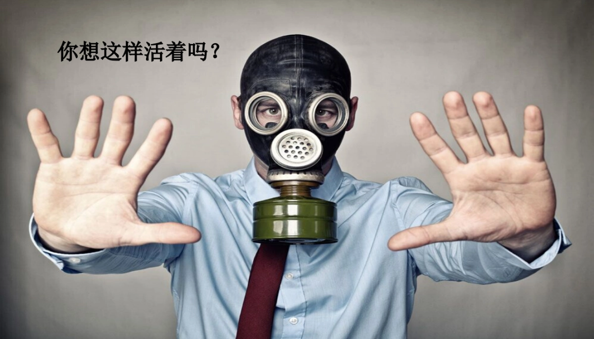 欧赛斯格义原生态生活用纸品牌面貌梳理_第4页