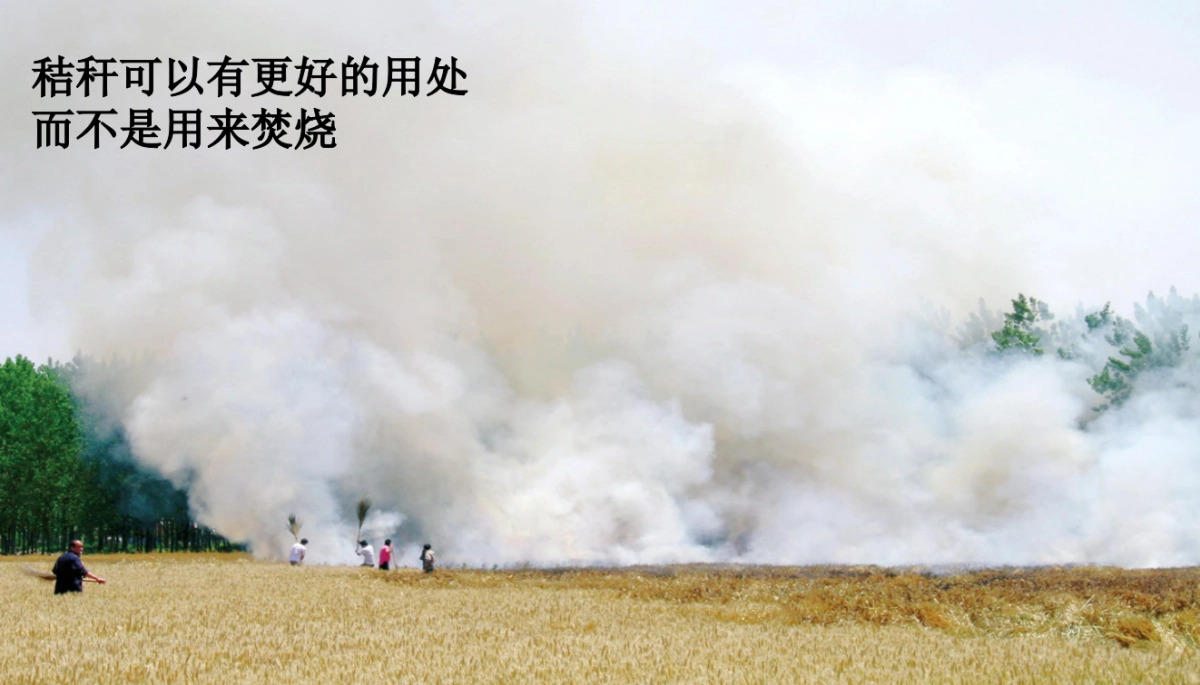 欧赛斯格义原生态生活用纸品牌面貌梳理_第9页