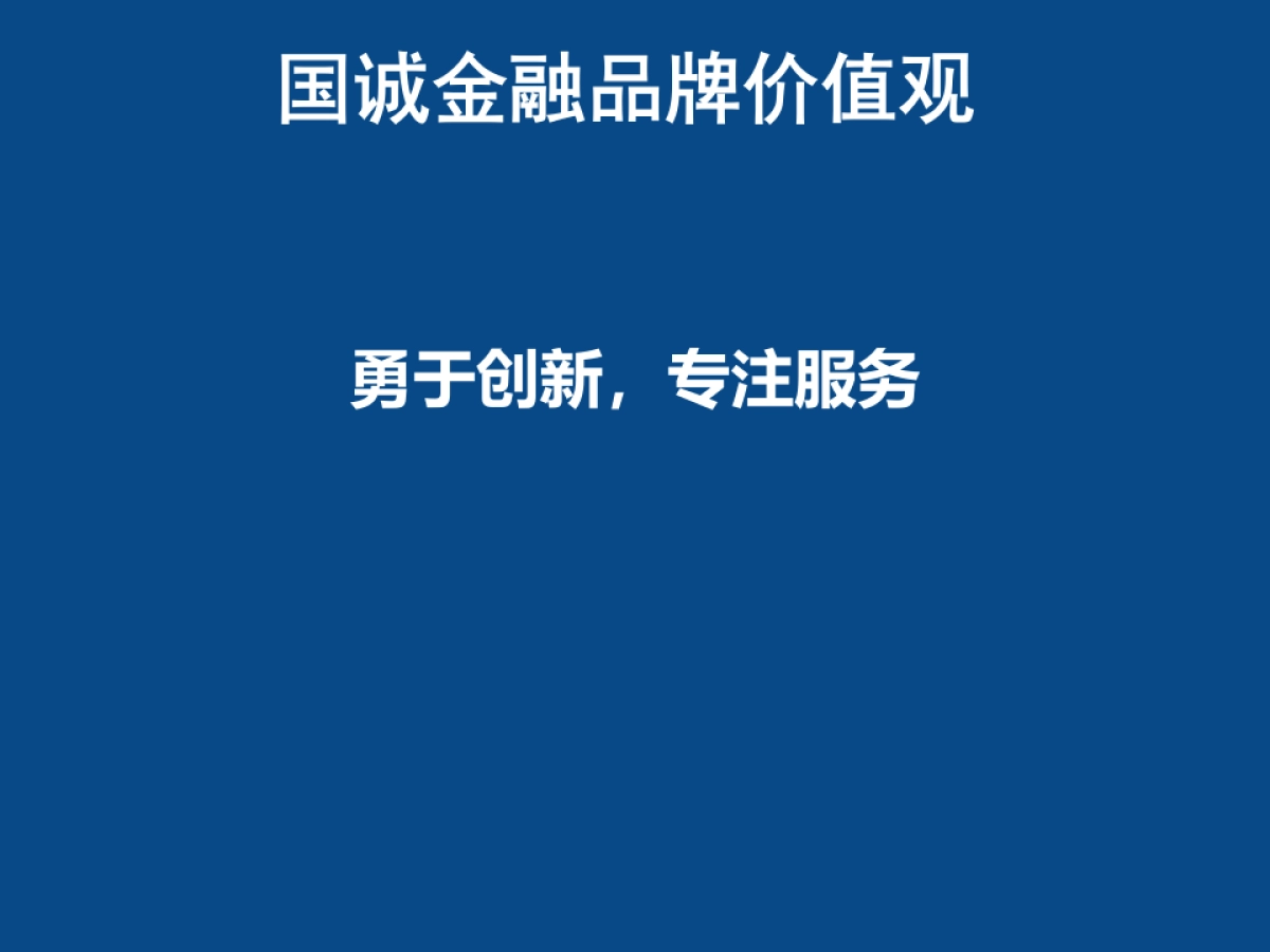 欧赛斯国诚金融品牌定位及创意方向_第7页
