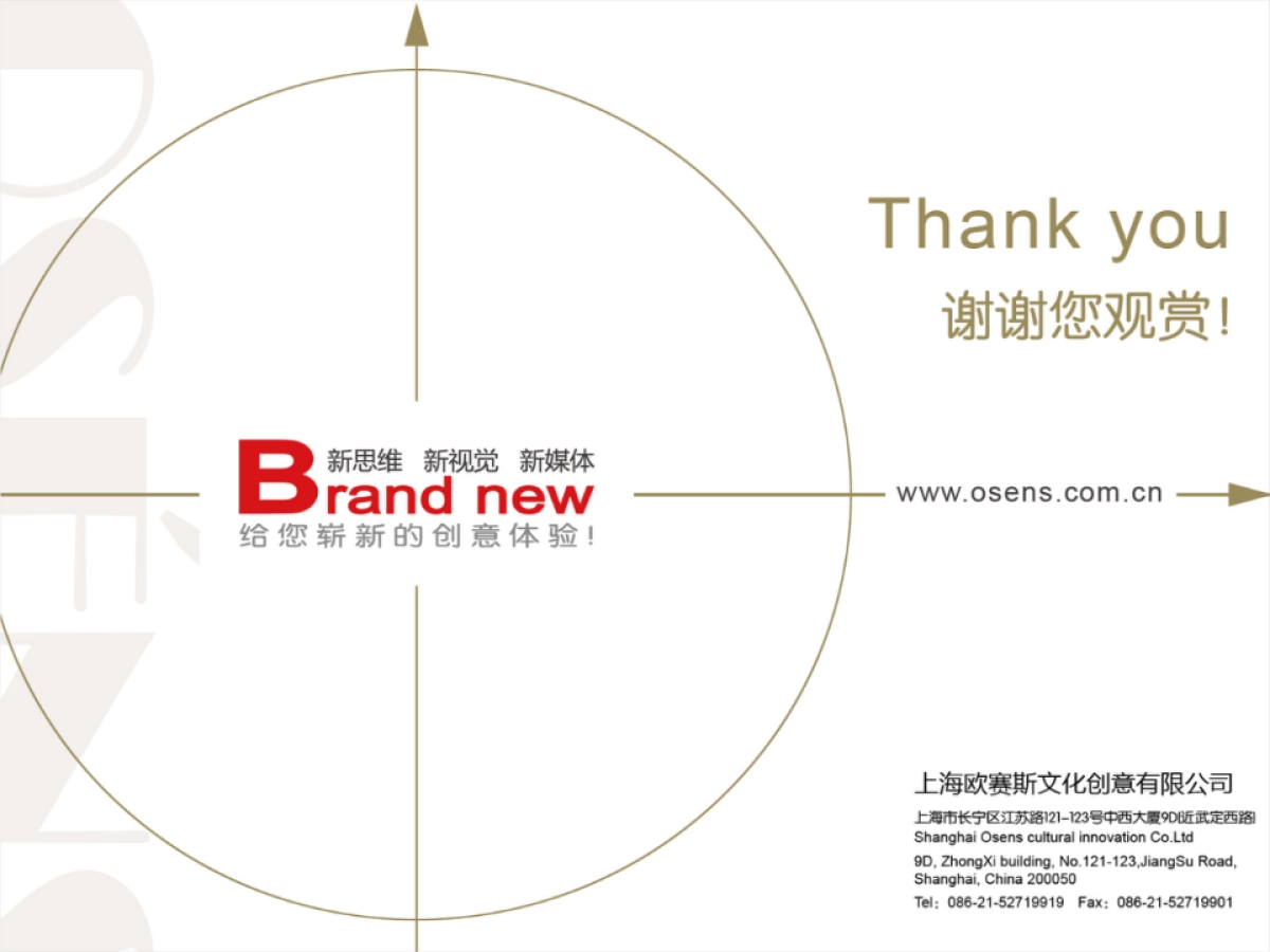 欧赛斯国诚金融品牌定位及创意方向_第9页