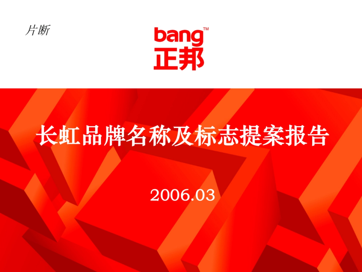 正邦品牌命名案例_第1页