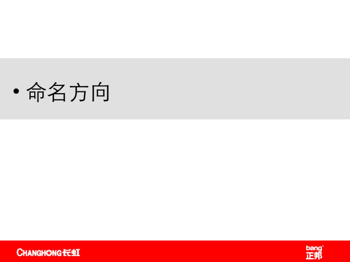 正邦品牌命名案例_第2页