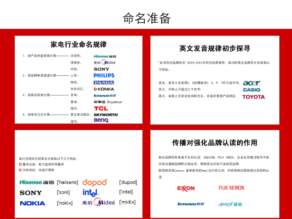 正邦品牌命名案例_第5页
