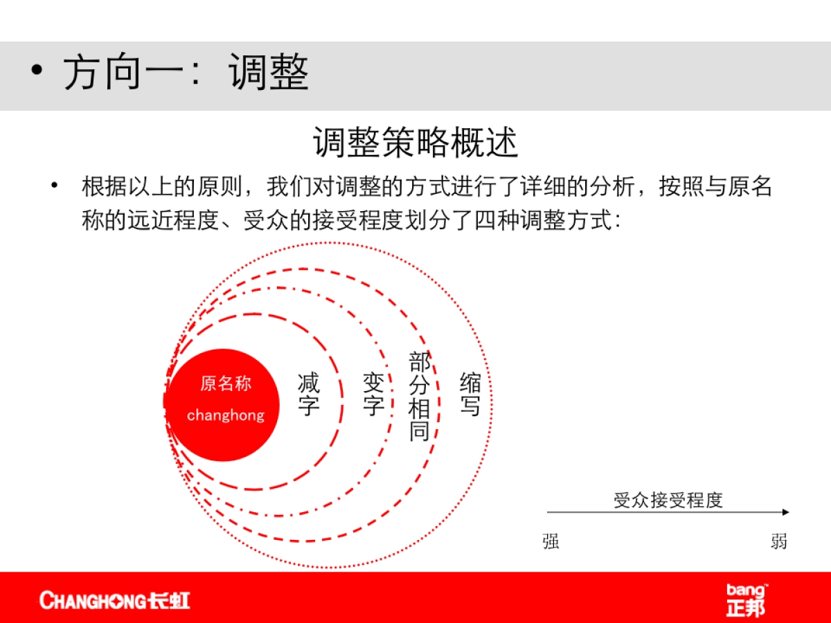 正邦品牌命名案例_第6页