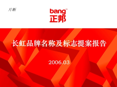 正邦品牌命名案例