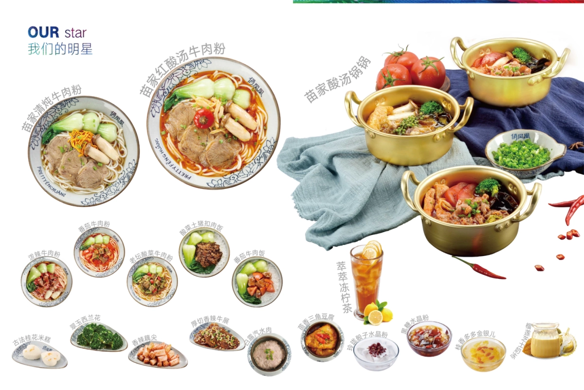 2019俏凤凰牛肉粉品牌手册_第7页