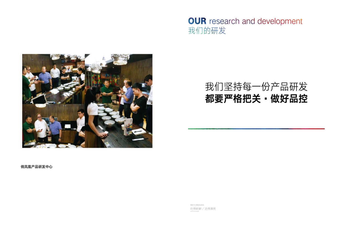 2019俏凤凰牛肉粉品牌手册_第9页