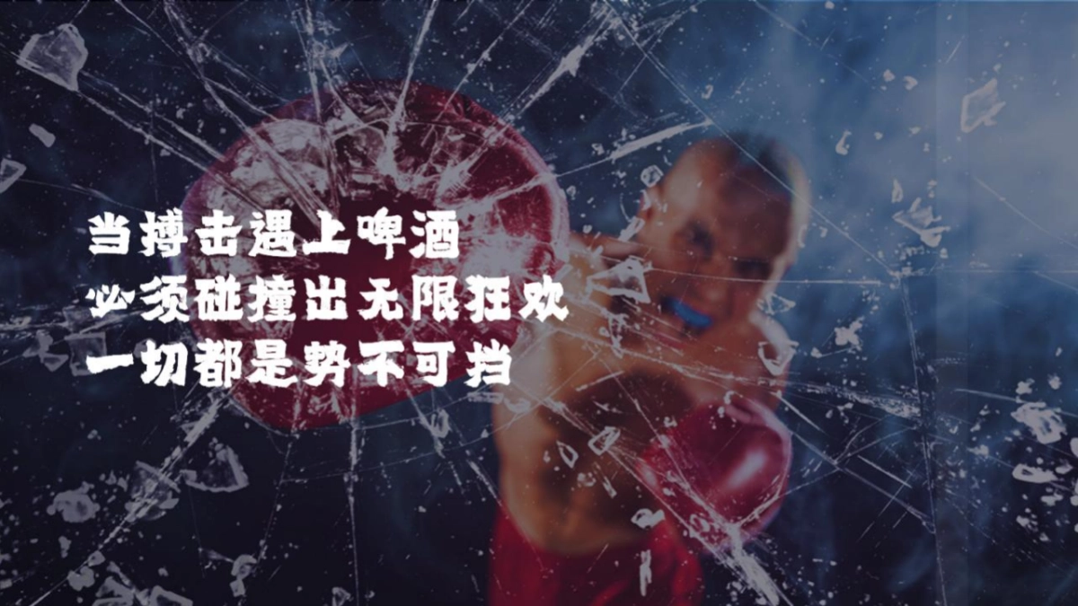 2022啤酒品牌啤酒搏击文化节活动策划方案_第3页