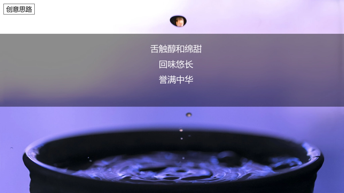 白酒品牌财富高峰论坛暨战略新品上市发布会“岁月创作价值”主题活动策划方案_第10页