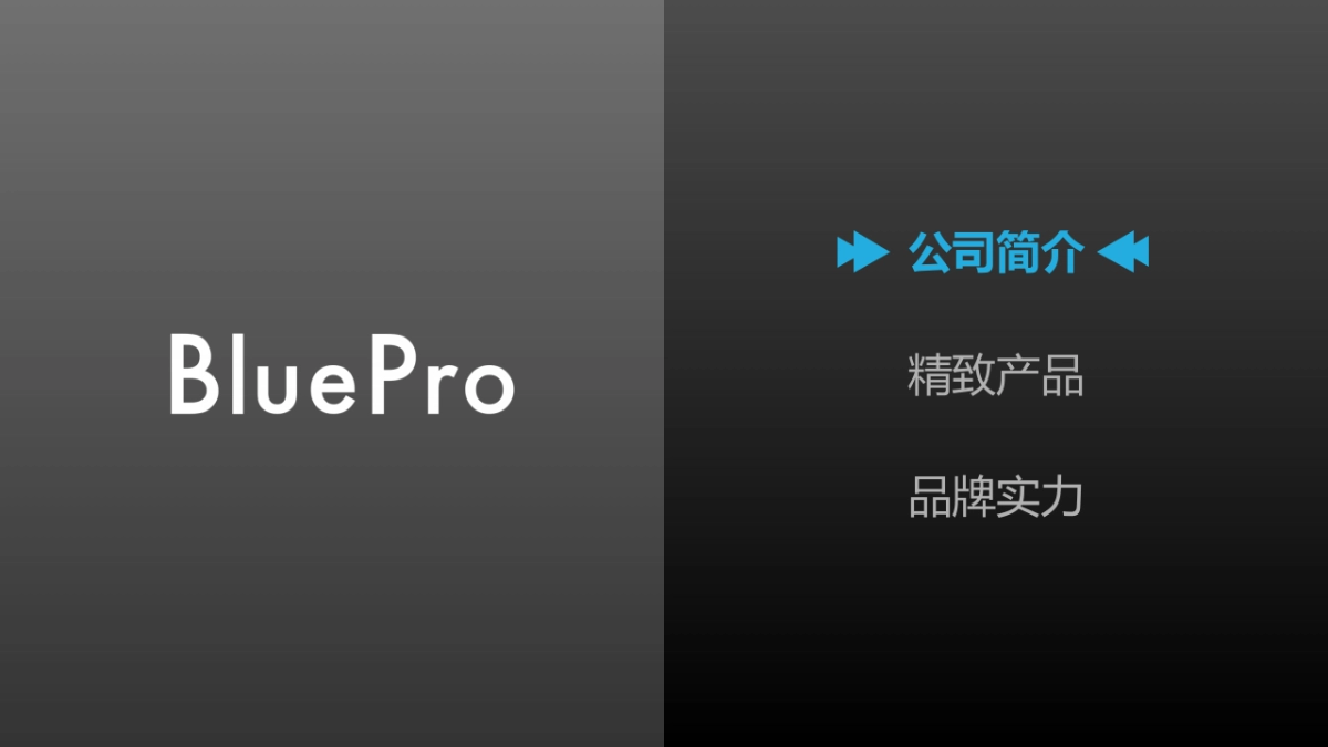 博乐宝饮水机品牌介绍_第2页