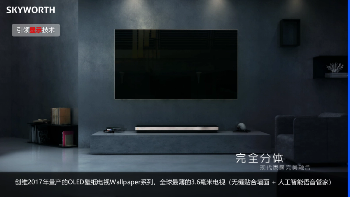 创维品牌介绍_第10页