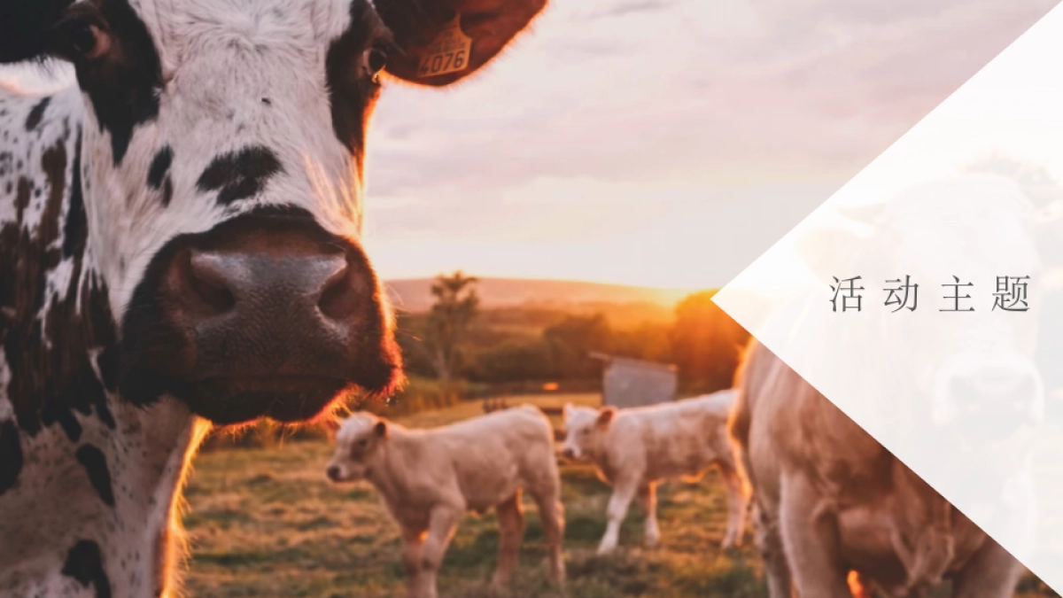 纯奶品牌六一促销活动策划方案_第7页