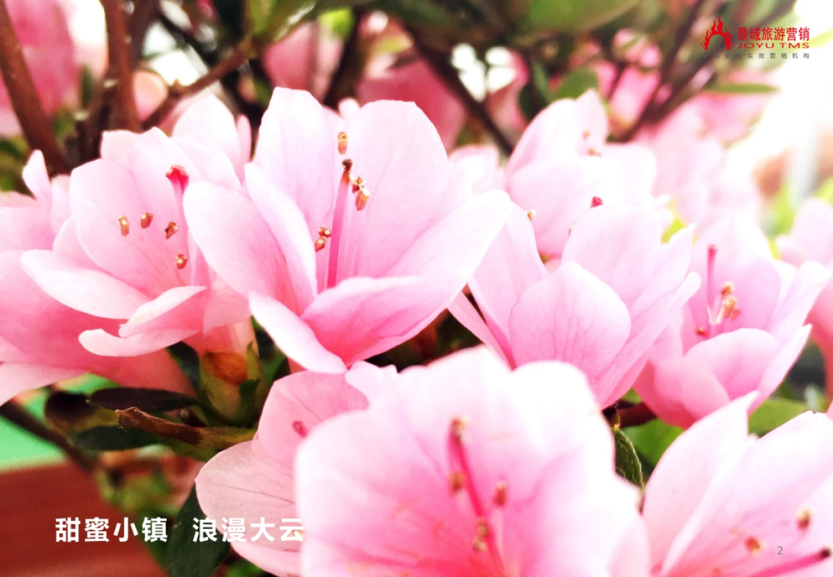 大云温泉省级度假区品牌策划方案_第2页