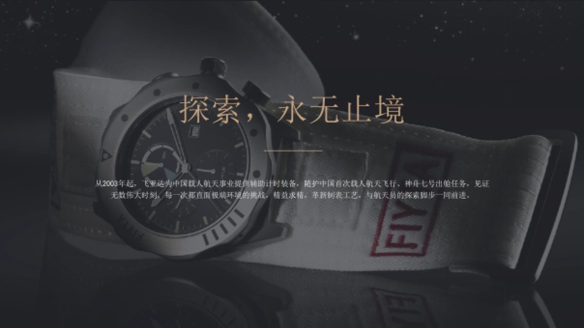 飞亚达品牌介绍_第10页