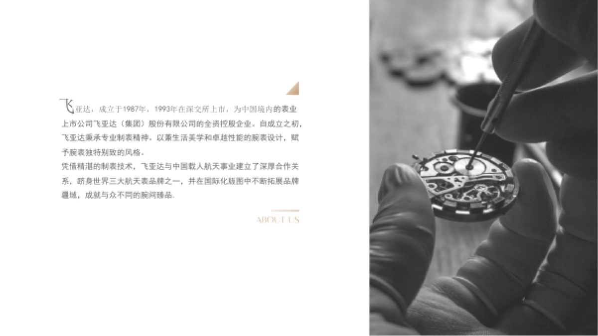 飞亚达品牌介绍_第2页