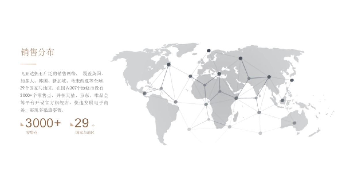 飞亚达品牌介绍_第5页