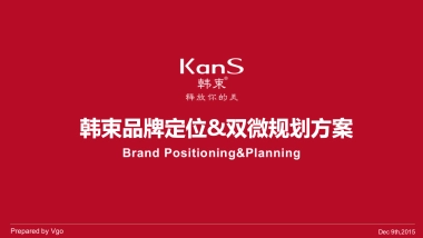 韩束品牌策划&双微运营方案
