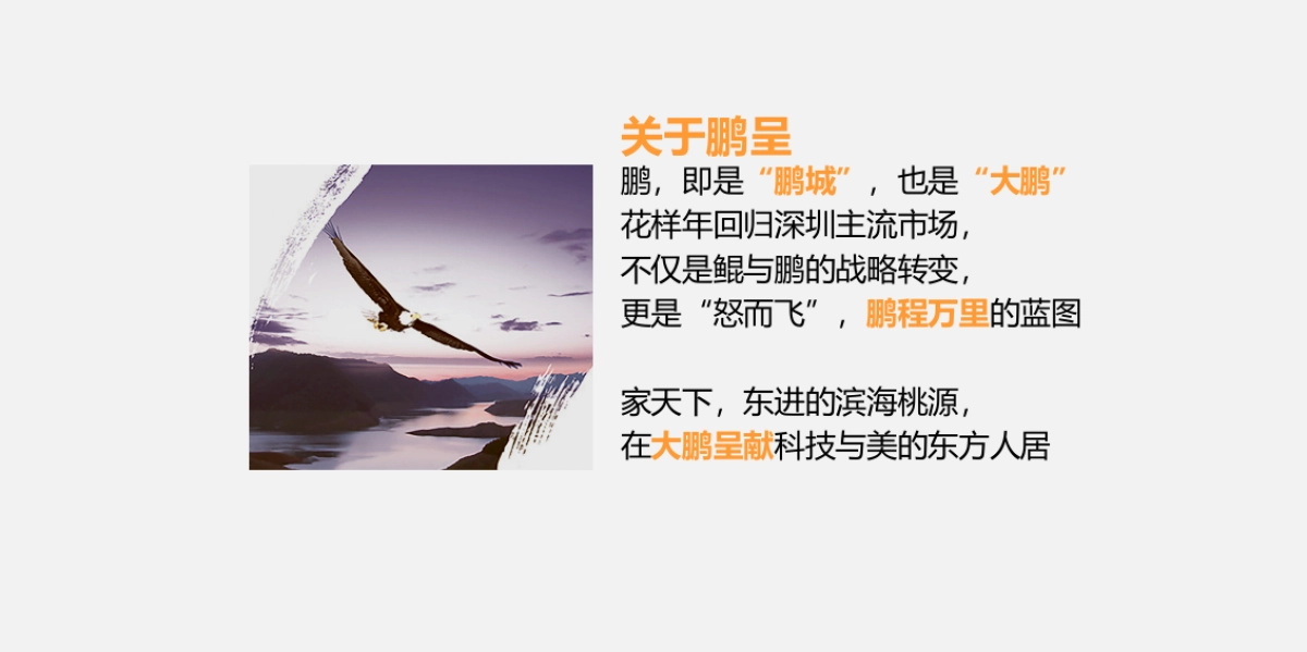 花样年家天下品牌发布会策划方案_第2页